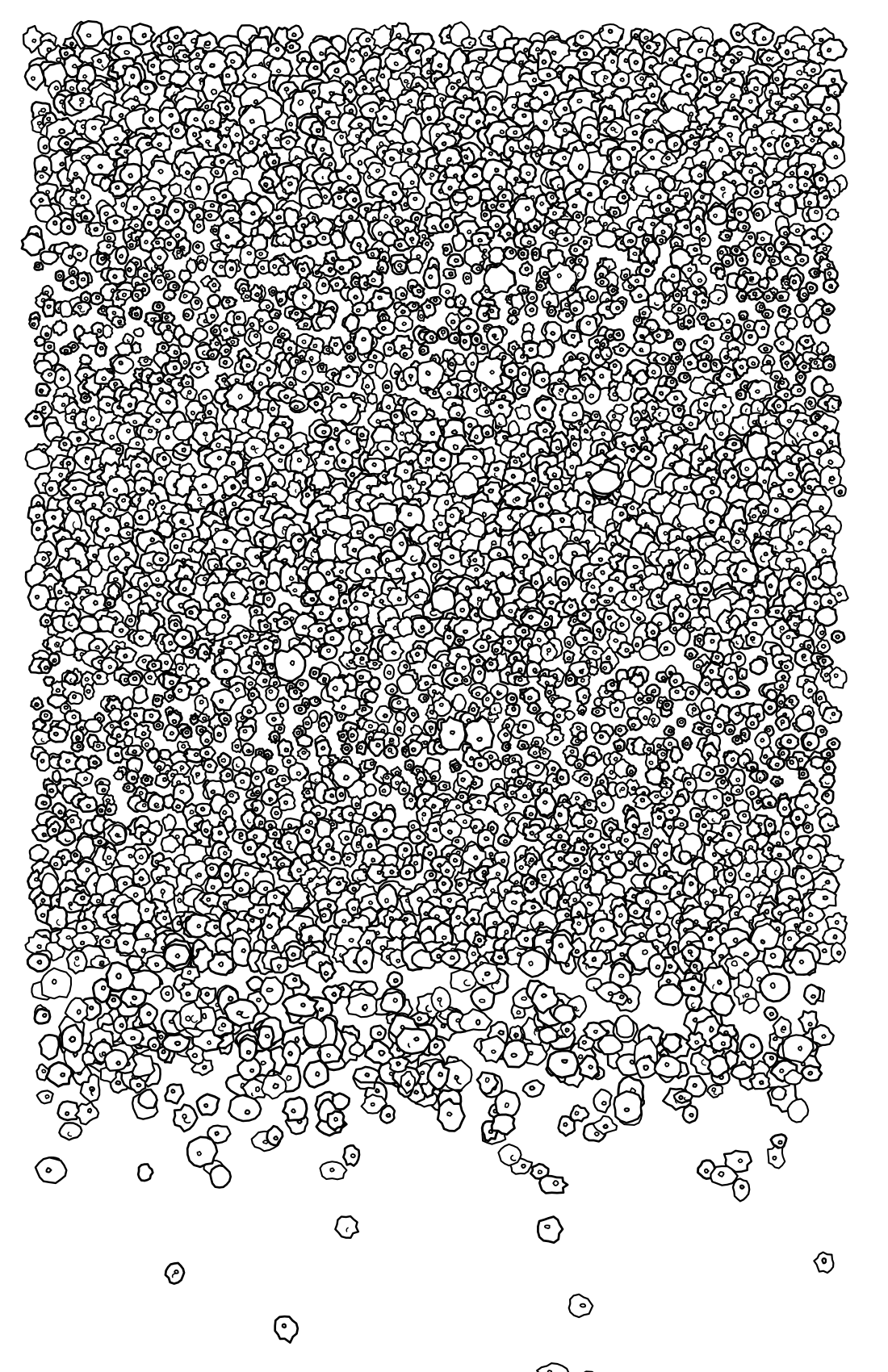 Dense field of irregular generated cell forms